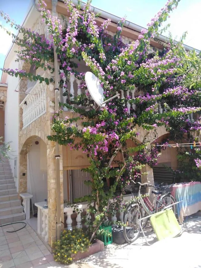Apartment Apartman Ivica Vir